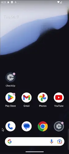 CheckOp - App - Tasks CheckOp - App - Tasks